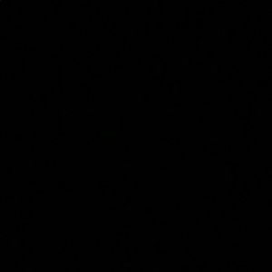 Meet your Posher, Francheska